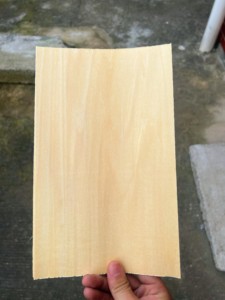 椴木面材力材 乒乓球拍专用木皮 厚度0.6mm 尺寸28cm*17cm