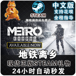 Steam正版PC中文游戏 地铁离去 地铁离乡 Metro Exodus  山姆/上校 DLC 末日动作
