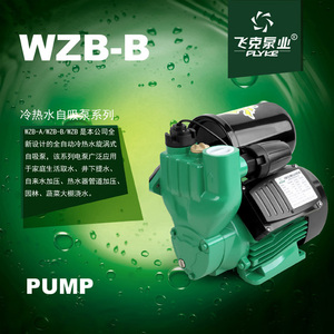 家用飞克220V自来水增压WZB-B大容量自吸智能型冷热水自吸泵