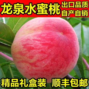 桃子四川成都龙泉水蜜桃精品果五斤新鲜现摘