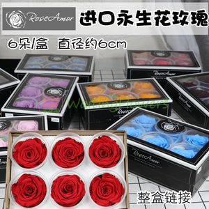 进口roseamor6朵装保鲜花diy材料A级5-6cm厄瓜多尔永生花玫瑰