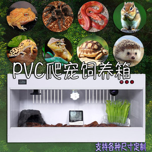 pvc爬虫箱陆龟蜥蜴饲养保温智能爬箱鹦鹉雏鸟加温大型定制保暖箱