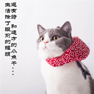 日系唐草猫咪项圈三角巾猫围巾围脖 离家出走小包袱带小鱼干