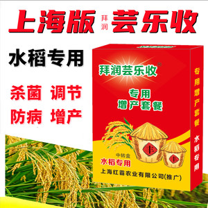 上海版拜润芸乐收水稻增产剂穗叶面肥抗倒伏分蘖返青灌浆肥早熟
