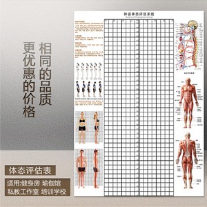多种尺寸体态评估墙贴身体姿态矫正格子表健身房姿势体测背景图纸