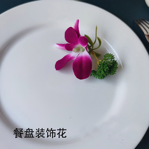 酒店菜品盘饰餐饮刺身西餐摆盘装饰杨兰花草洋兰花寿司点缀西兰花