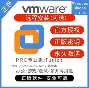虚拟机vmware正版软件安装激活游戏win/mac/centos/ubuntu双系统