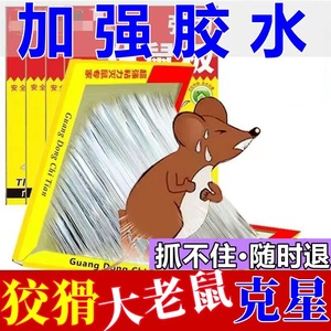 老鼠粘强力粘鼠板捉粘大老鼠贴沾胶抓超强灭鼠家用捕鼠神器老鼠夹