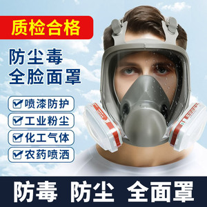防毒面具全面罩喷漆防尘口罩全脸头罩放毒氧气化工气体专用防护罩