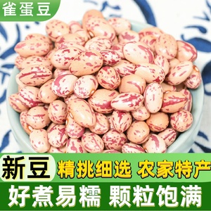 新货雀蛋豆500g 奶花豆花生豆云南农家自种四季豆米大花豆芸豆子