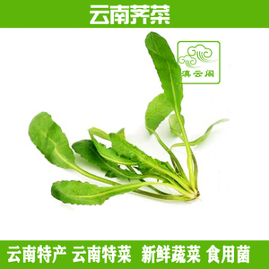 1kg云南新鲜野菜荠菜特产干油菜白花菜香荠蔬菜地菜扁锅铲花紫菜 阿里巴巴找货神器 1kg云南新鲜野菜荠菜特产干油菜白花菜香荠蔬菜地菜扁锅铲花紫菜 阿里巴巴找货神器