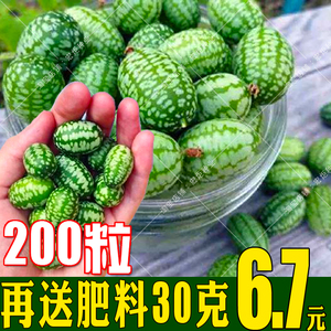 佩普基诺】佩普基诺品牌、价格- 阿里巴巴