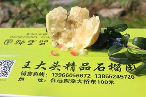 特价8斤皖榴一号三白水果怀远白玉石籽石榴白花白皮白籽树上现摘