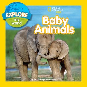 现货 【中图原版】Explore My World Baby Animals 国家地理分级阅读系列 绘本 儿童读物