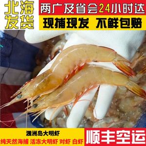 涠洲岛大明虾两盒900g 野生海捕大虾 虾鲜活速冻 对虾特大 海虾