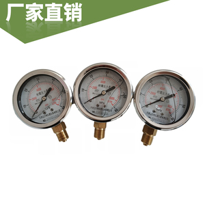 YN60 不锈钢径向压力表 高精度耐震油压表  测压表 M14*1.5表头