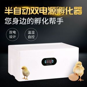 水床孵化器全自动小型家用鹦鹉鸭鹅鸽子小鸡孵化箱智能恒温孵蛋机