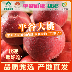 北京平谷大桃水蜜桃12粒礼盒装（单果250g+）