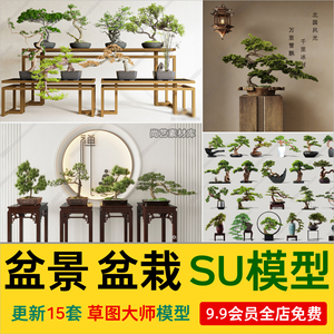 新中式盆松树黑松罗汉松黄杨盆景盆栽造型植物摆件绿植SU模型源件
