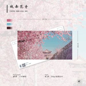 且慢纸铺 原创ins创意摄影樱花风景贺卡明信片 ｜城南花开