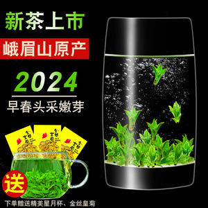 头采正品2024小叶苦丁茶米芽特级新茶峨眉山青山绿水野生嫩芽250g