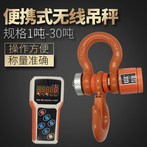 上海顿科电子吊秤便携5t吊钩称钢材称无线不打印2T3T5T10T 15T20T