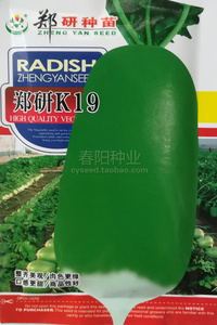 郑研K19萝卜种子 青皮青肉 口感脆甜 水果萝卜种籽 高产791萝卜