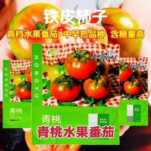 春夏季草莓西红柿种籽青桃水果番茄种子铁皮柿子种籽高产酸甜可口