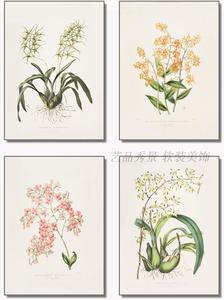 美式手绘花卉现代植物花卉叶子进口画芯微喷装饰画画布画心