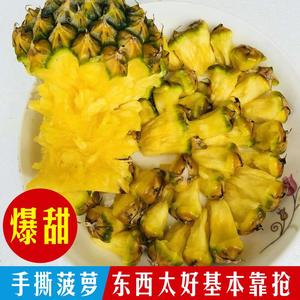 树上熟冬蜜凤梨  海南三亚新鲜水果台湾牛奶菠萝手撕纯甜当季5斤