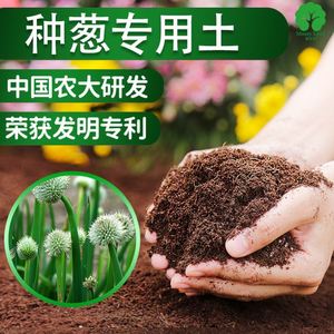 种葱专用土蔬菜营养土种菜专用土壤肥料阳台种蒜土泥土小葱有机肥
