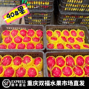 海南红心火龙果40型号小果5斤8斤装新鲜水果纯甜应季顺丰包邮