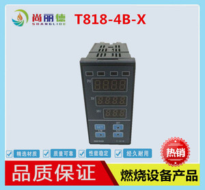 T818-4B-X阀位反馈表 阀门专用控制仪表 温控仪 Geposh t818-4b-l