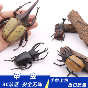 仿真甲虫模型玩具昆虫独角仙楸甲虫楸型虫大兜虫金龟儿童认知礼物