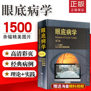 眼底病学 第2版版 眼科书籍眼视光眼底病图谱手术学实用临床同仁手册基础激光治疗 人民卫生出版社 9787117131919