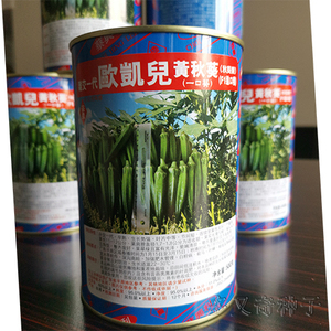 欧凯儿黄秋葵种子 台湾进口绿秋葵种子 羊角豆种子翠绿色蔬菜种子