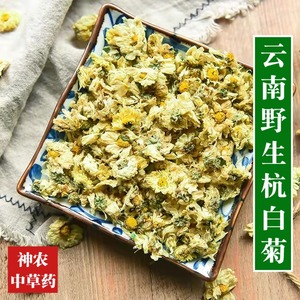 云南野生中药材白菊花500g杭白菊精选特级无硫熏泡水泡茶夏季花茶