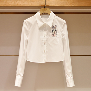 白衬衫设计感女小众冬卓雅2024春夏季新款高级感时尚别致短款衬衣