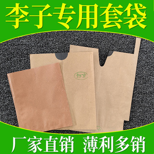 李子套袋专用袋黄金奈李袋子水果果树纸袋包果袋保护袋防虫防鸟