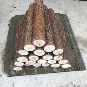 天然树木杉木干树段树桩装饰树干杉木杆枯树杆真婚庆园林圆木厂家