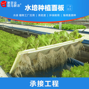 无土栽培设备水培面板蔬菜鱼菜共生阳台天台定植板水上种植浮板