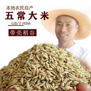 鲜帝稻黑龙江东北优质五常稻花香带壳稻谷鲜米机专用散装农民直销