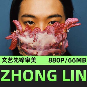 先锋新锐独特时尚 ZHONG LIN 审美电子参考