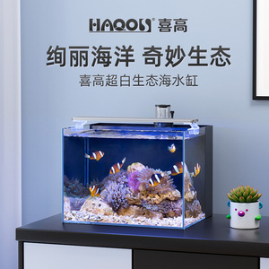海水鱼缸超白玻璃迷你桌面中小型客厅家用办公室生态珊瑚缸水族箱