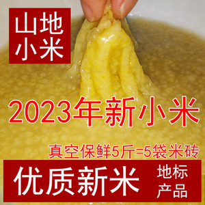 黄小米红土地新碾农家新谷子五谷杂粮香糯粘稠食物月子 伊川特产