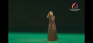 第十三届桃李杯演出服《心中的歌》蒙族萨吾尔登表演服装艺考定制