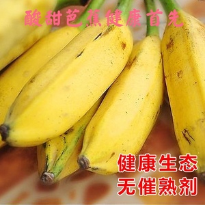 广西芭蕉牛蕉大蕉大芭蕉牛角蕉板蕉9斤净重酸甜味无催熟剂