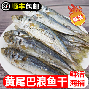 巴浪鱼干咸鱼干福建特产小鱼干海鱼鳀鱼即食海鲜干货下酒海味500g