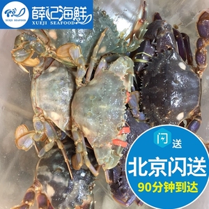 500g 北京闪送 鲜活 花盖蟹 海鲜水产海蟹  海红蟹 赤甲红 石蟹