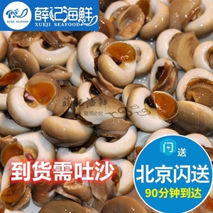 500g 北京闪送 大香螺 鲜活海鲜 水产 玉螺 香螺 鲜活 新鲜螺类
